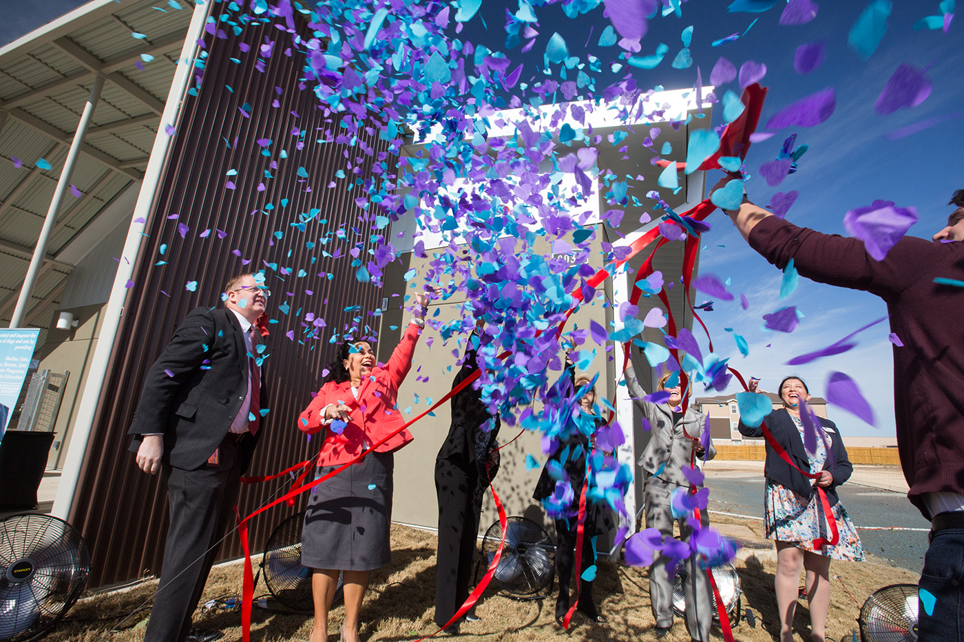 city base veterinary clinic